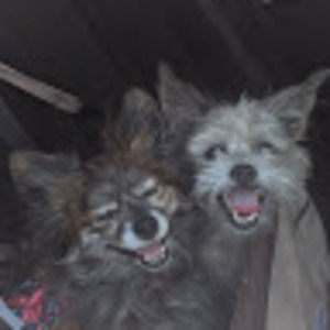 Meet your Posher, Mary